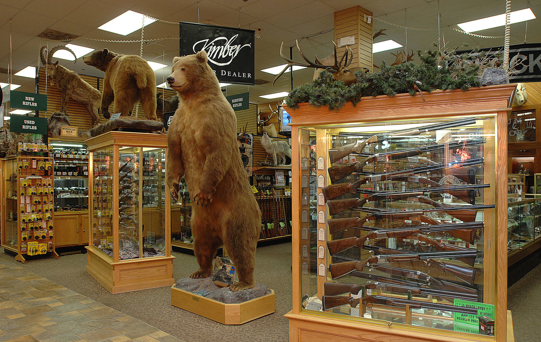 Best Sporting Goods - Scheels